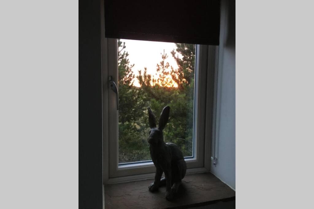 Hare Cottage At Hill Top Greenhow Hill 외부 사진